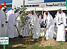 Union Tree takes centre stage as UAE marks National Day