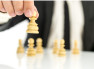 The strategist CFO