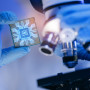 The U.S. invests in semiconductor research and development