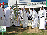 #htmlcaption Union Tree takes centre stage as UAE marks National Day